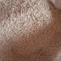 برنج دخل دار هاشمی