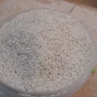 برنج هاشمی گیلان شالما شفت