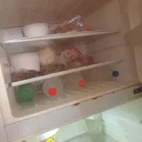 یخچال فروشی