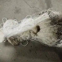 ماشک ماهیگیری