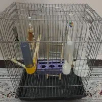 قفس پرنده در حد نو تمیز