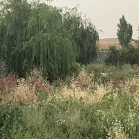 2000متر باغ محدوده حکیم آباد|فروش زمین و ملک کلنگی|فشاپویه, |دیوار