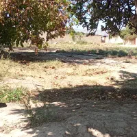 زمین باغ شهری