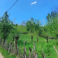 زمین-روستایی-شفت