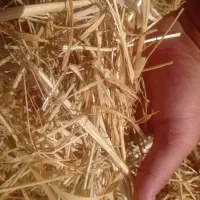 فروش کاه گندم