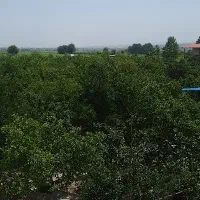 کارگر سرایدار