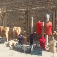 مانکن وپرو ام دی اف