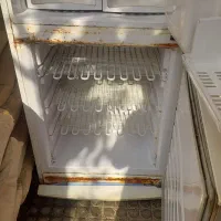 یخچال زرین|یخچال و فریزر|تاکستان, |دیوار