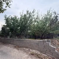 باغچه