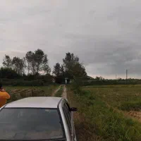 زمین کشاورزی یک هکتاری بر جاده رشت زیبا کنار|فروش زمین و ملک کلنگی|رشت, شهریاران|دیوار