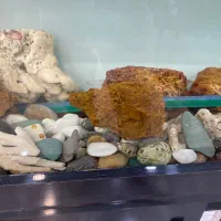 اکواریوم با تمام وسایل|ماهی|تهران, بنی‌هاشم|دیوار