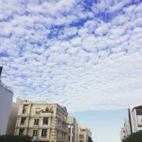 مالکین-محترم-زمین-های-نیروی-انتظامی-و-الهیه