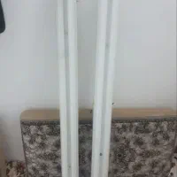 دو عدد مهتابی سالم و پر نور