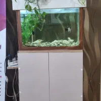 اکواریوم کامل بهمراه ماهی