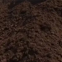 کود گاو  کود گاوی  کود حیوانی  پهن