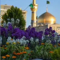 سفر زیارتی مشهد مقدس همه روزه3100000