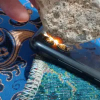 سنگ هایی قیمتی