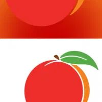 حسابدار خانم