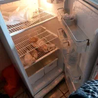 یخچال دو در جنرال تمیز در حد|یخچال و فریزر|مرودشت, ژیان|دیوار