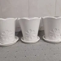 تعدادی گلدان
