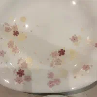 سرویس چینی شش نفره|ظروف سرو و پذیرایی|اصفهان, پارک مشتاق|دیوار