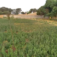 فروش-زمین-مسکونی-داخل-شهرک-جدید-داورآباد