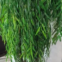 درخت بید مصنوعی