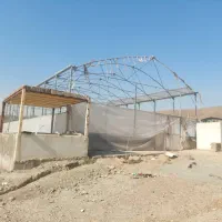 ۵۰۰ متر چهار دیواری مجوز گلخانه در خاوران