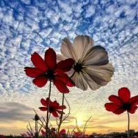 با ۳۰ میلیون کجای مشهد میشه رفت روستاها