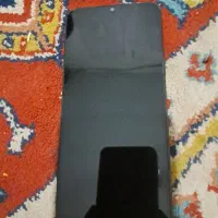 شیامی۱۳ردمی