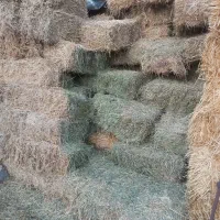 یونجه چین اول و چین دوم کلش گندم ۱۰۰خروار