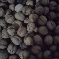 گردو|خوردنی و آشامیدنی|اسالم, |دیوار