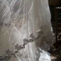 دودست لباس عروس