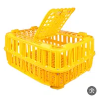 جعبه مرغ زنده 10عدد