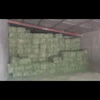 یونجه (پرس یونجه)|عمده‌فروشی|بیرانوند, |دیوار