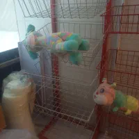 استند سوپر مارکتی|کتابخانه، شلف، قفسههای دیواری|کرج, گلشهر|دیوار