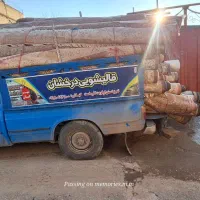 قالیشویی درخشان گیان|خدمات نظافت|گیان, |دیوار