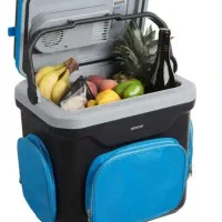 یخچال مسافرتی