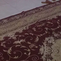 فرش ماشینی لاکی|فرش|رباط‌کریم, شترخوار|دیوار