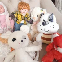 عروسک|اسباب‌بازی بچه|شهریار, شهرک وائین|دیوار