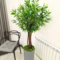 درختچه فیکوس آمستل بنسای مصنوعی جنسینگ گل درخت|گل مصنوعی|تهران, قصر فیروزه ۱|دیوار