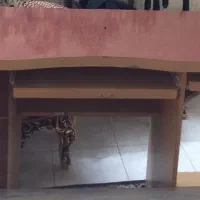 میز کامپیوتر مجانی|میز تحریر و کامپیوتر|سمنان, |دیوار