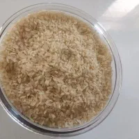 برنج کامفیروزی درجه یک