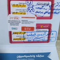 واگذاری بچه گربه|گربه|مشهد, رضاشهر|دیوار
