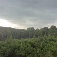 سرایداری باغ