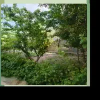 پاییز.   زیبا وبه یاد ماندنی در  کوهستان|اجارهٔ کوتاه‌مدت ویلا و باغ|قم, پردیسان|دیوار