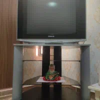 تلویزیون ۲۹ اینچ سامسونگ