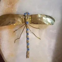 سنجاقک برنز چشم نظر