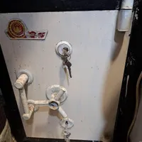 گاو صندوق سالم