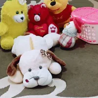 سبدپیک‌نیک دخترانه وعروسک